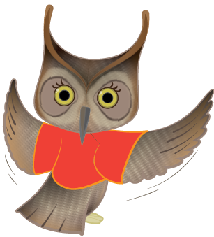 owl_TR - Copy